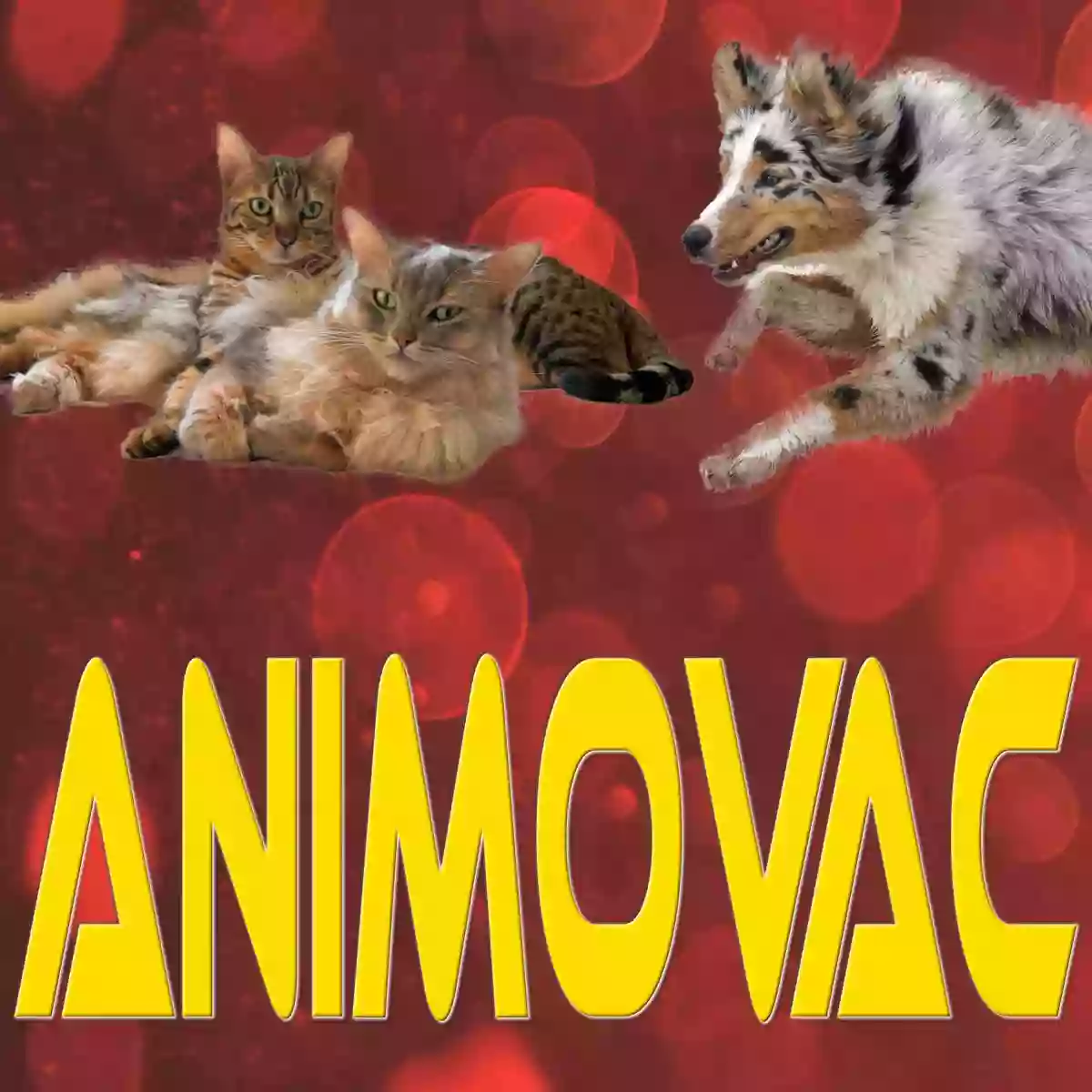 Animovac