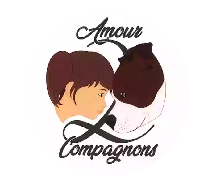 Amour 2 Compagnons_Comportementaliste Canin_Educateur Canin