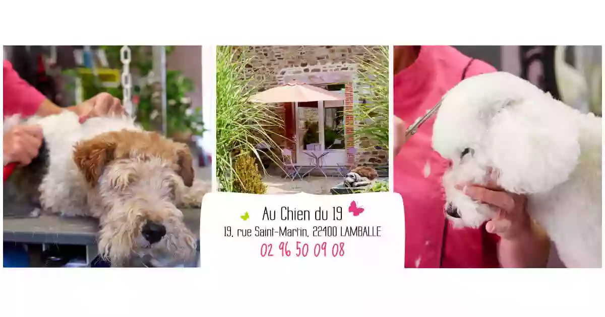 Au Chien du 19