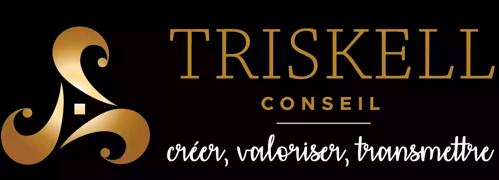 Triskell Conseil - Gestion de Patrimoine et Conseiller Financier à Saint-Brieuc