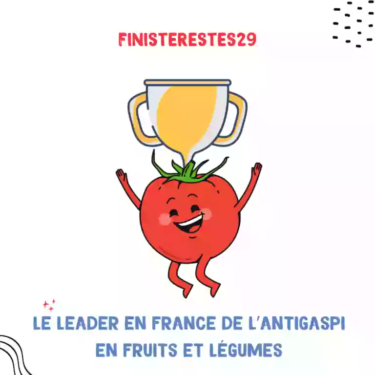 Finisterestes29 Vannes