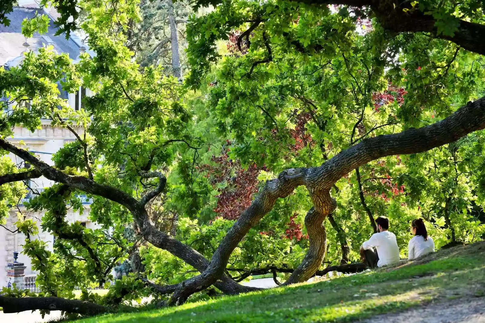 Parc des Tanneurs