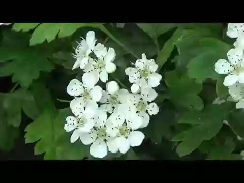 Arboretum au Fil de l'Eau