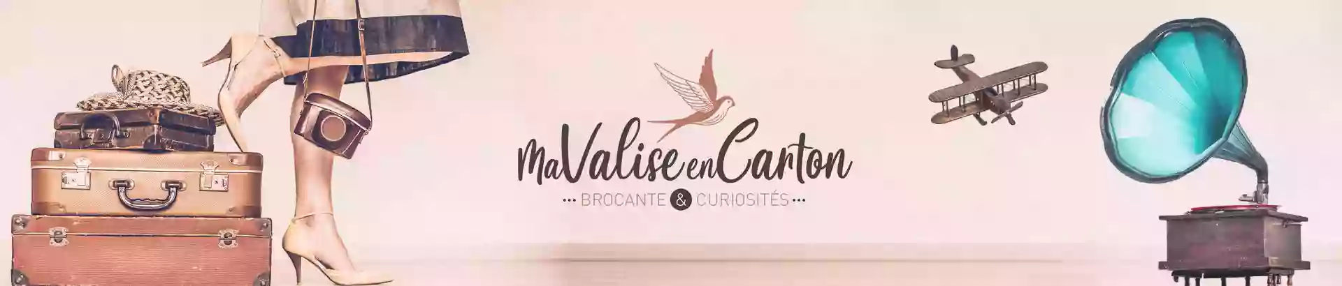 Ma valise en carton - Brocante en ligne