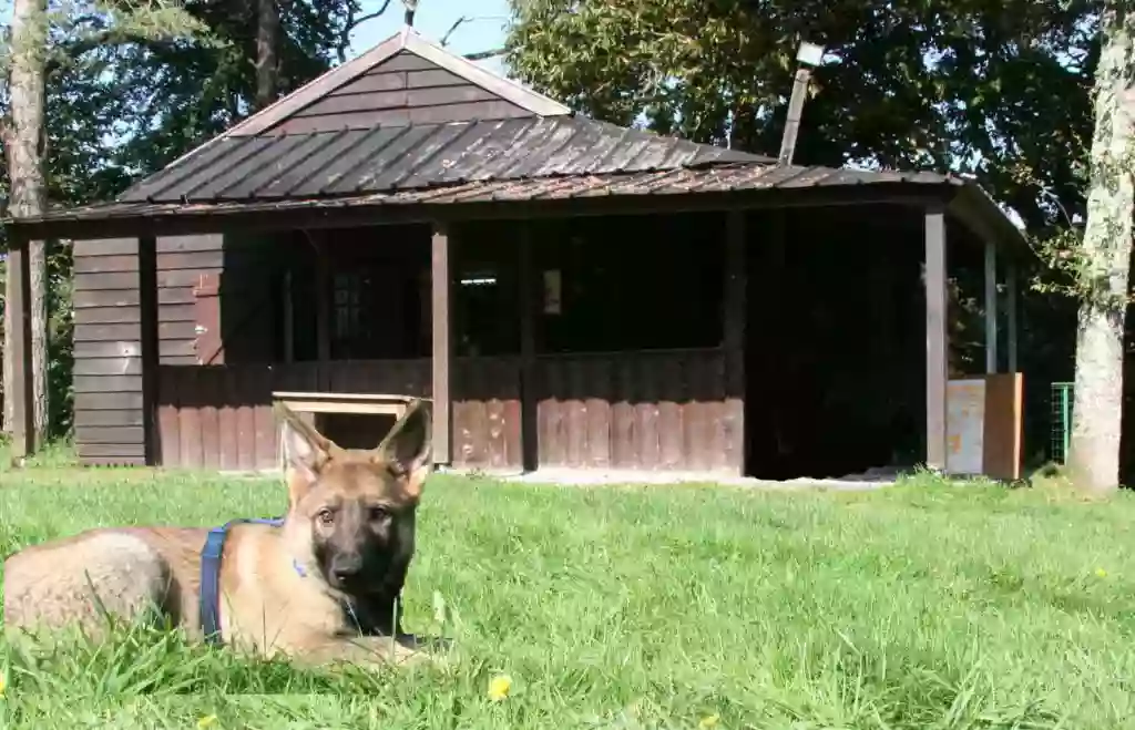 Club Canin de Rédéné