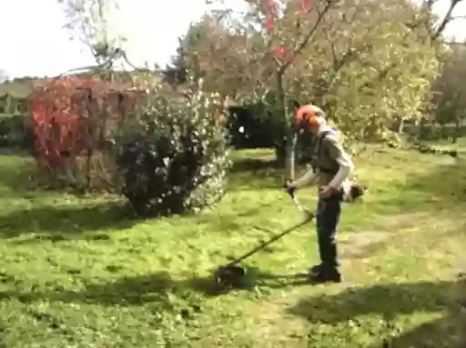 DASSONNEVILLE ÉLAGAGE: Élagueur Entretien espaces verts Taille abattage d'arbres ravalement Côtes-d'Armor 22 Perros-Guirec