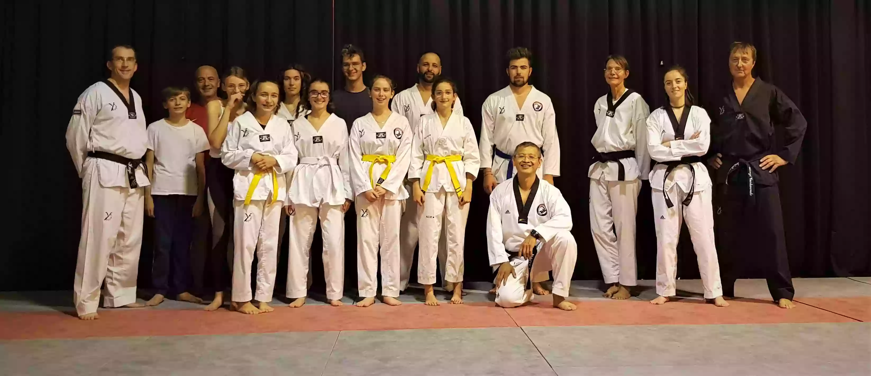 Gecko taekwondo club