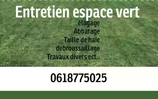 B-j espace vert paysagiste élagage abattage arbres taille de haie