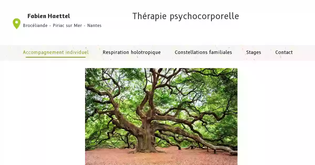 Fabien Haettel Thérapeute Psychocorporel Brocéliande