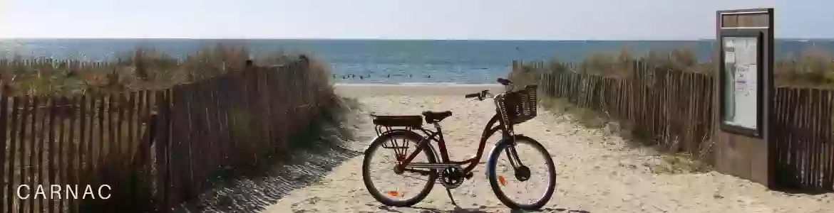 Veloc'Ouest - Location et Livraison de vélos à domicile - THEIX