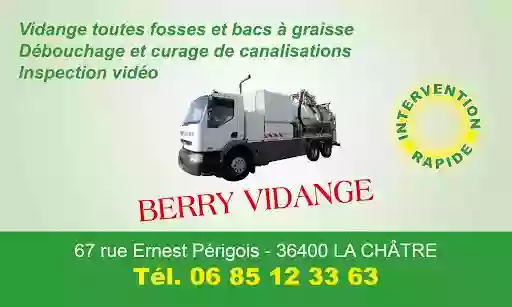 BERRY VIDANGE