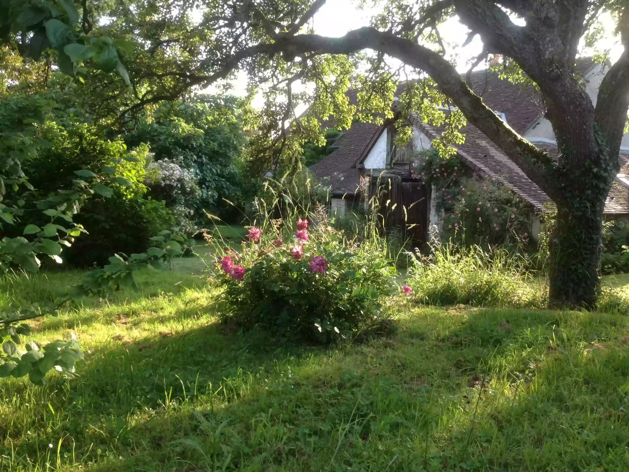 Chambres d'hôtes Les Renardières