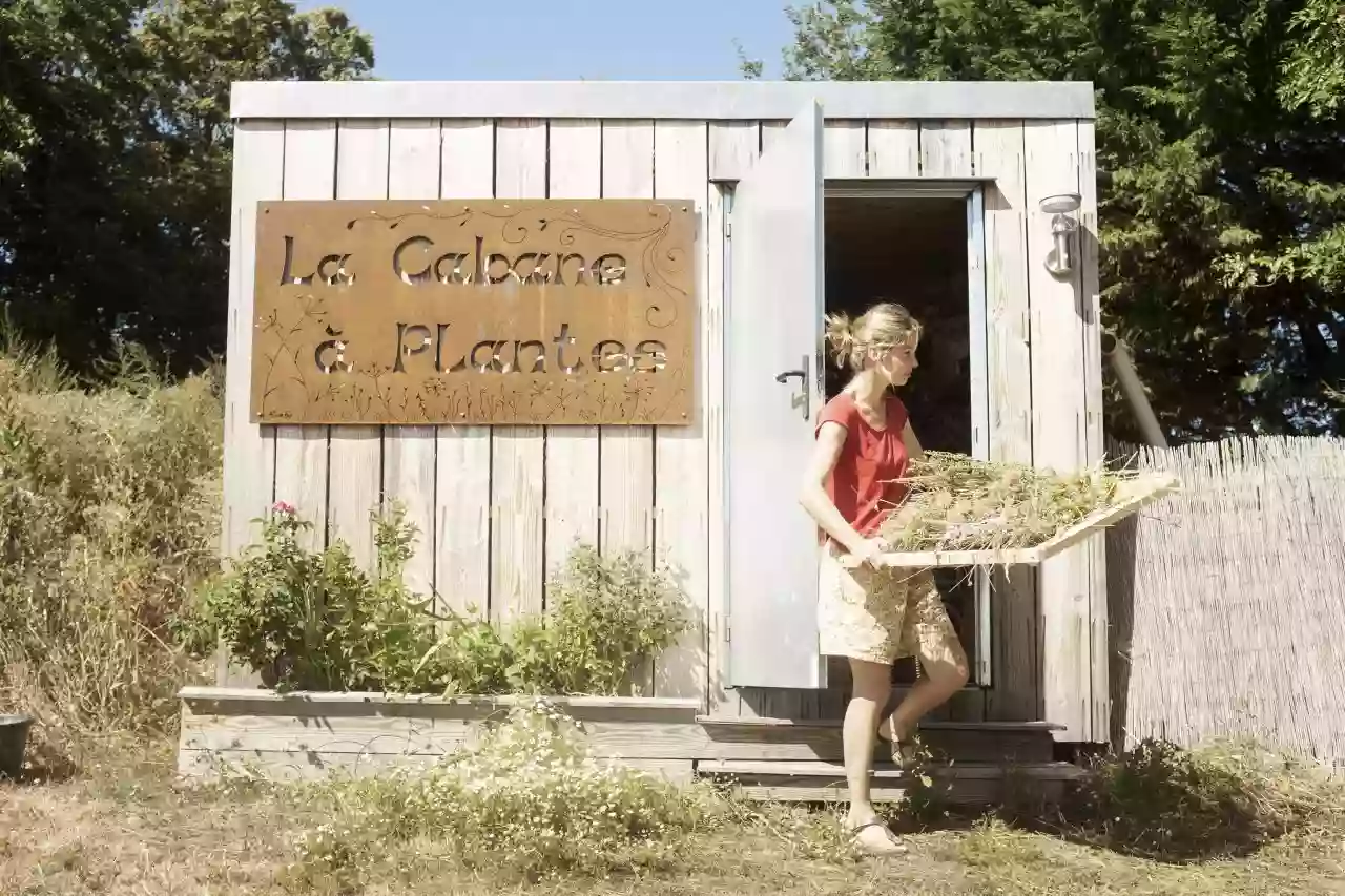 La Cabane à Plantes