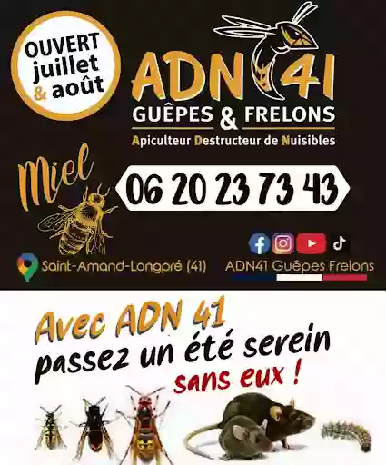 ADN41 Guepes Frelons