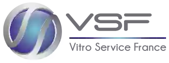 Vitro Service France