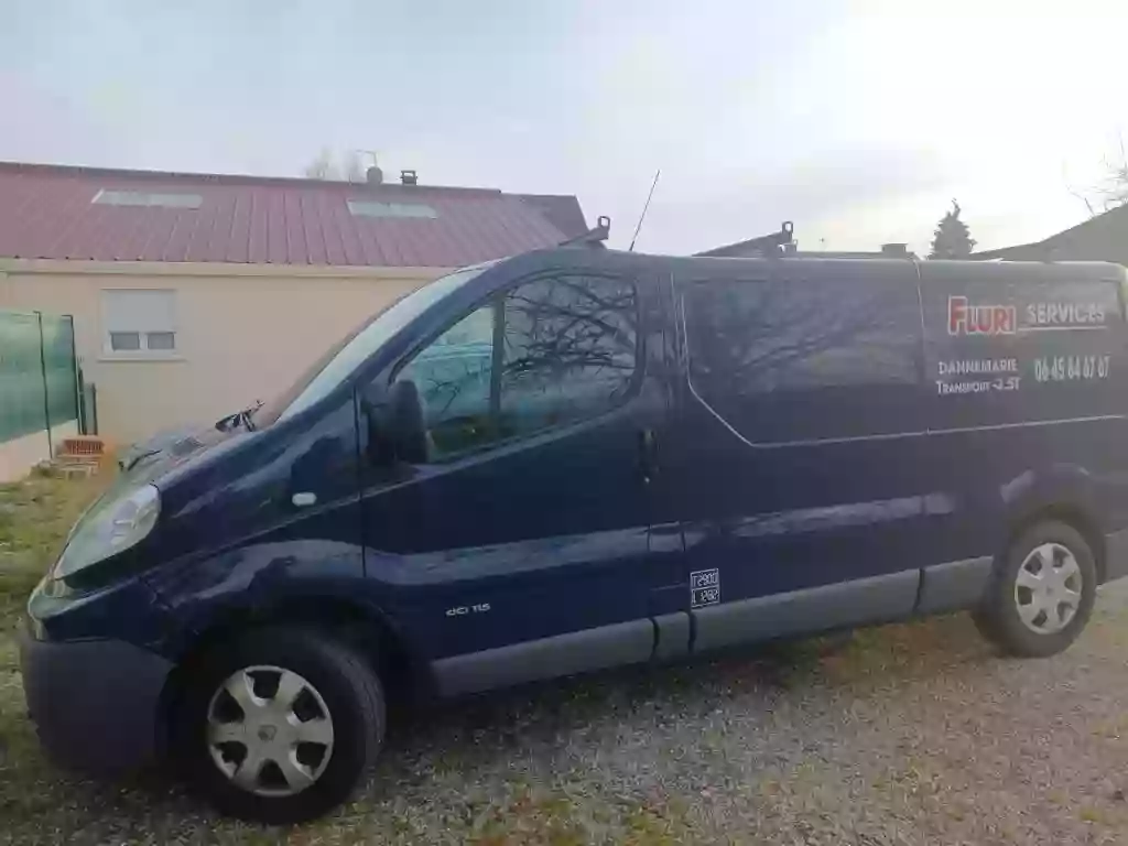 TAXI COLIS TRANSPORTEUR Express FLURI SERVICES transport marchandise -3,5 T Haut Rhin 68 Alsace 7j/7