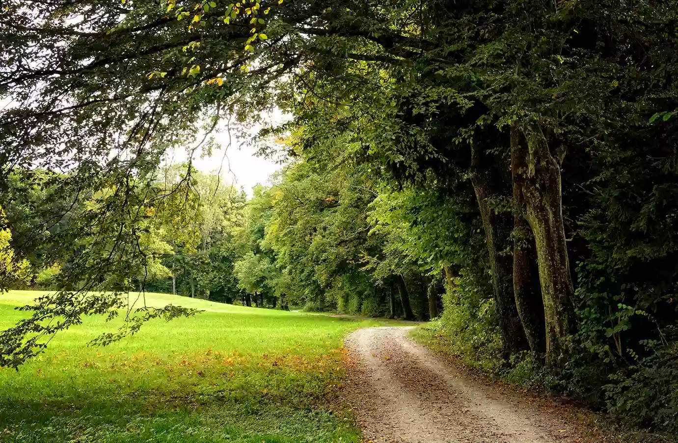 Office de Tourisme COULEURS D'ARGONNE