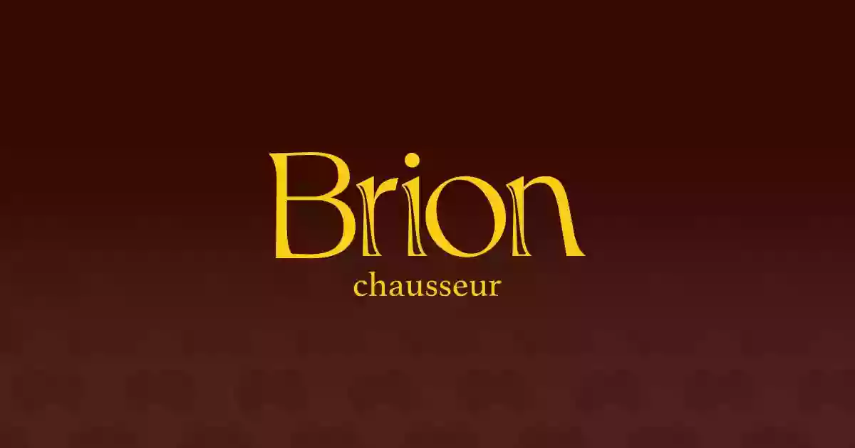 Chaussures Brion