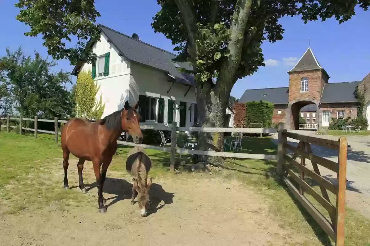 Domaine Ribeaufontaine: Gîte et Chambre d'hôtes avec piscine et spa dans l'Aisne en Picardie, à la campagne, Hauts-de-France