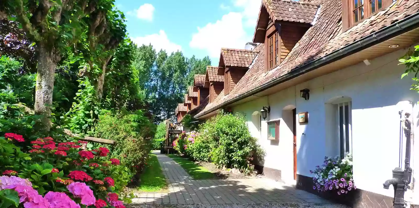 La Ferme des Chartroux chambres et gîte