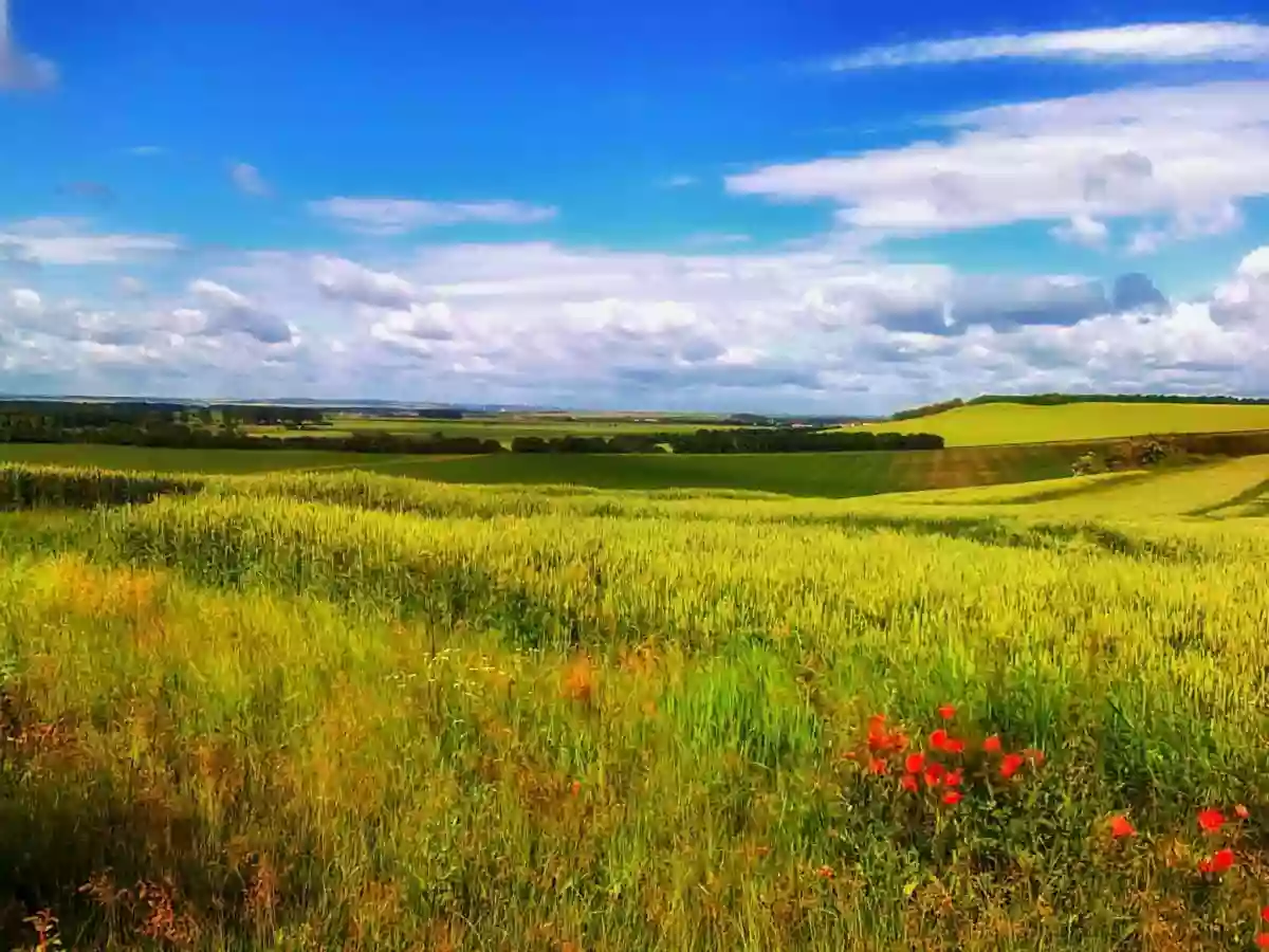 Résidence Les Hauts De France