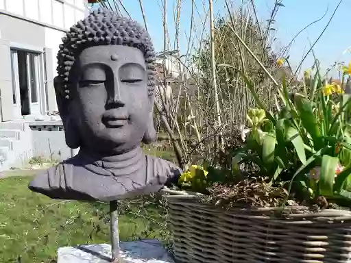 terramera gite baie somme Tréport chien maison artiste jardin zen et plage SOLEIL