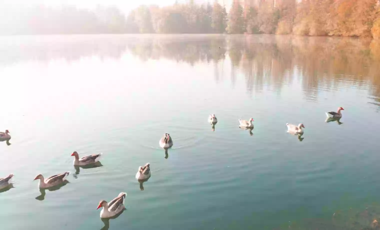 Camping du Château Vert