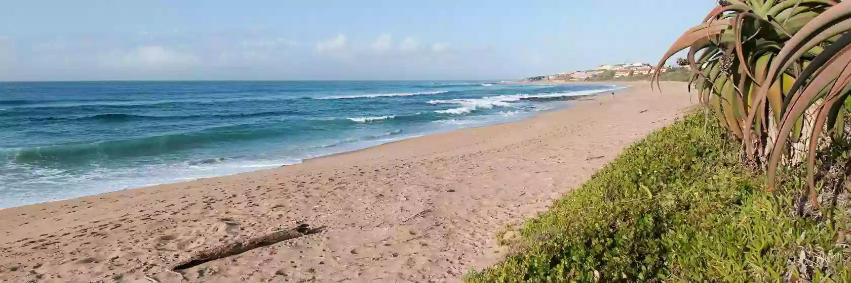 A CÔTÉ DE LA BAIE DE CANCHE