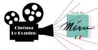 Cinéma Le Domino