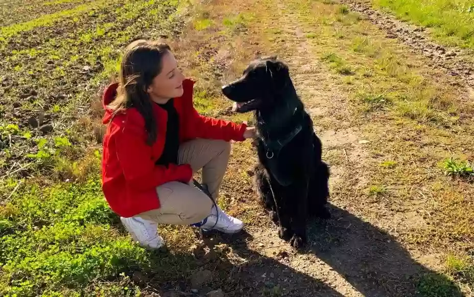 Animal'S Coaching - Éducateur canin | Comportementaliste canin et félin