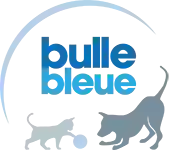 Bulle Bleue