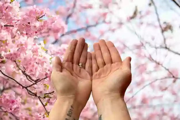 Médecine traditionnelle chinoise - Magétiseur - Piglialepre Celine