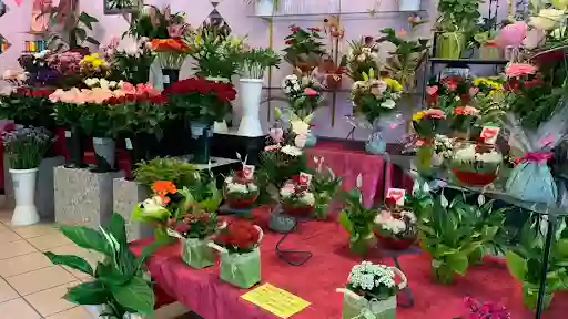 Fleuriste Rotsaert