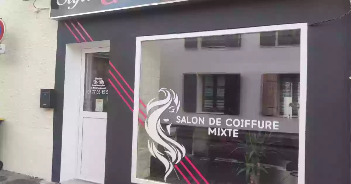 Style et Beauté Coiffure