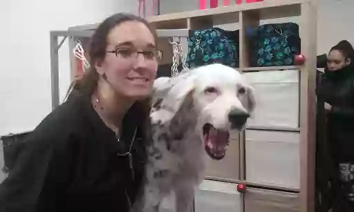 Les Ateliers d'Audreco, toiletteur canin, éducateur canin