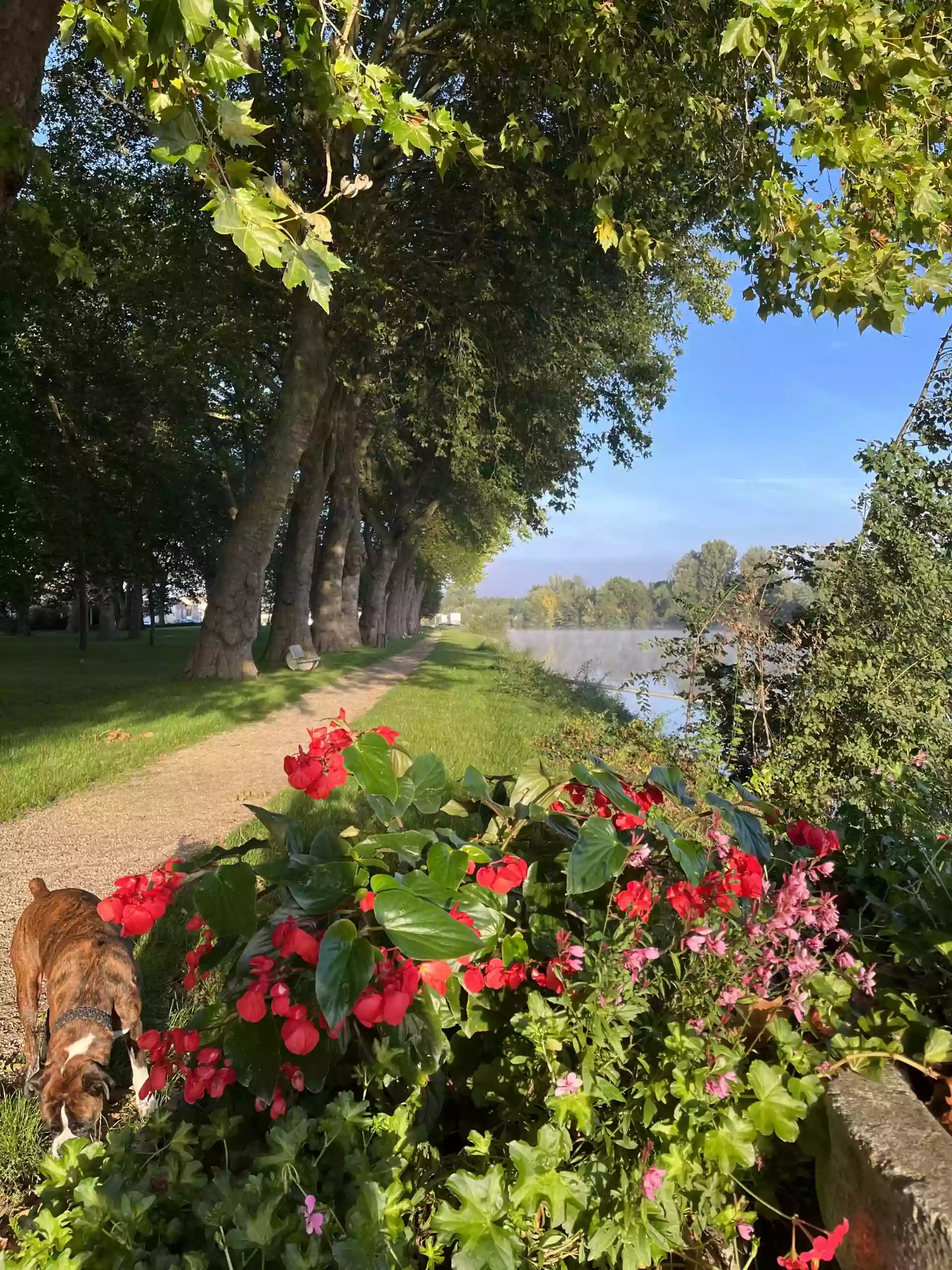 Parc du bord de Seine