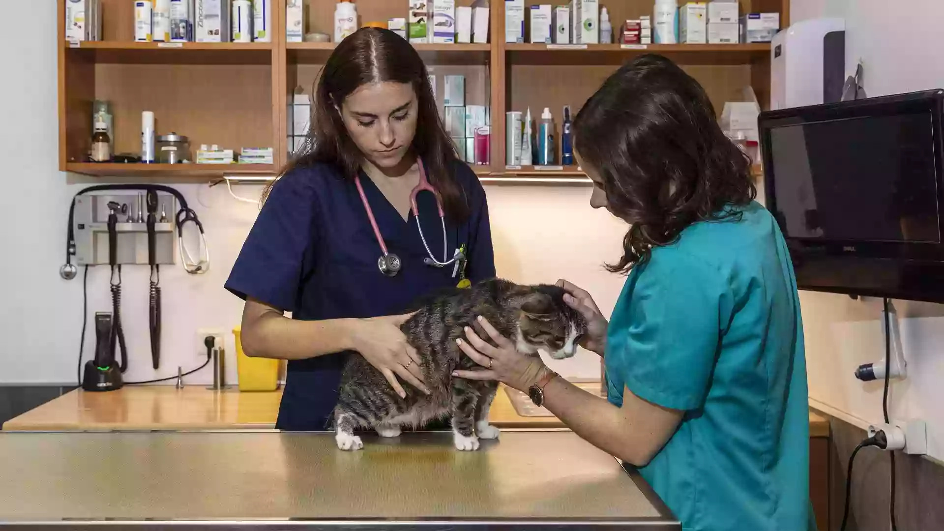 Clinique vétérinaire de Bobigny