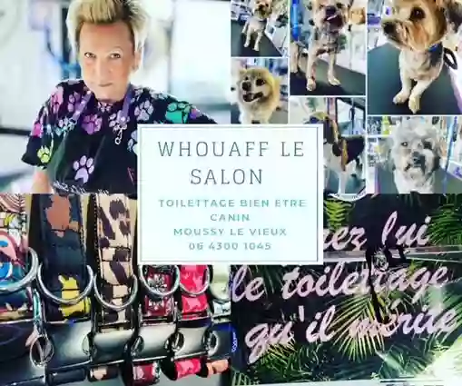 Whouaff-le salon