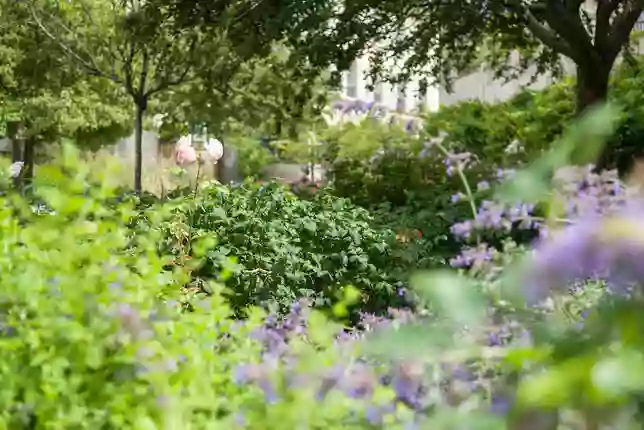 Jardin des Étangs Gobert