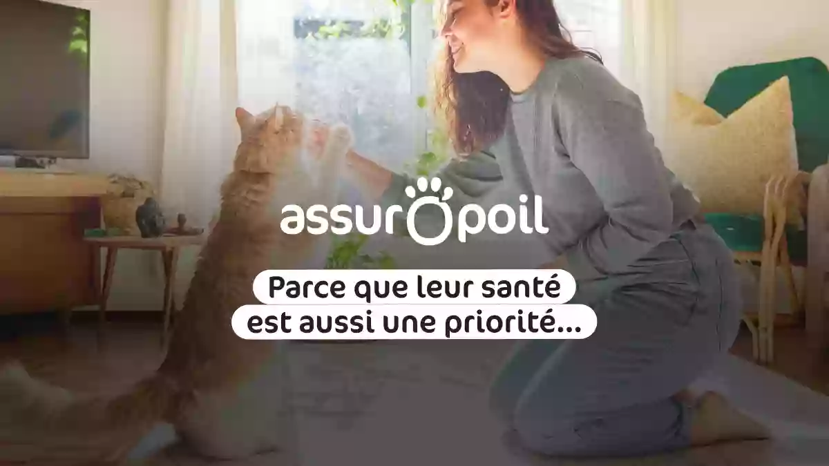 Assur O'Poil | L'assurance chien et chat