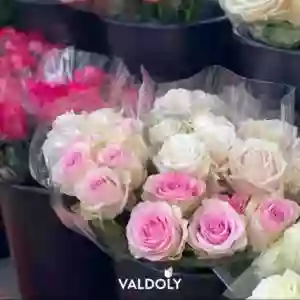 Valdoly Fleurs