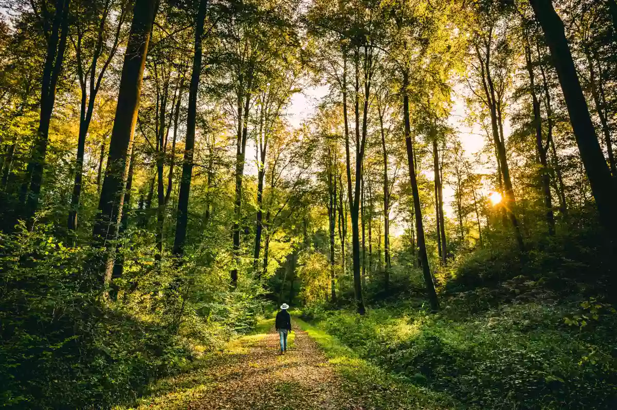 Eurêka, Agence d'Attractivité de l'Eure