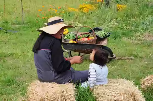 Les Jardins d'Hayden