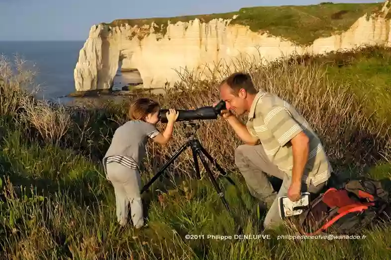 NATTERRA, organisation de visites naturalistes commentées à Etretat