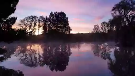 L'Etang d'un Instant