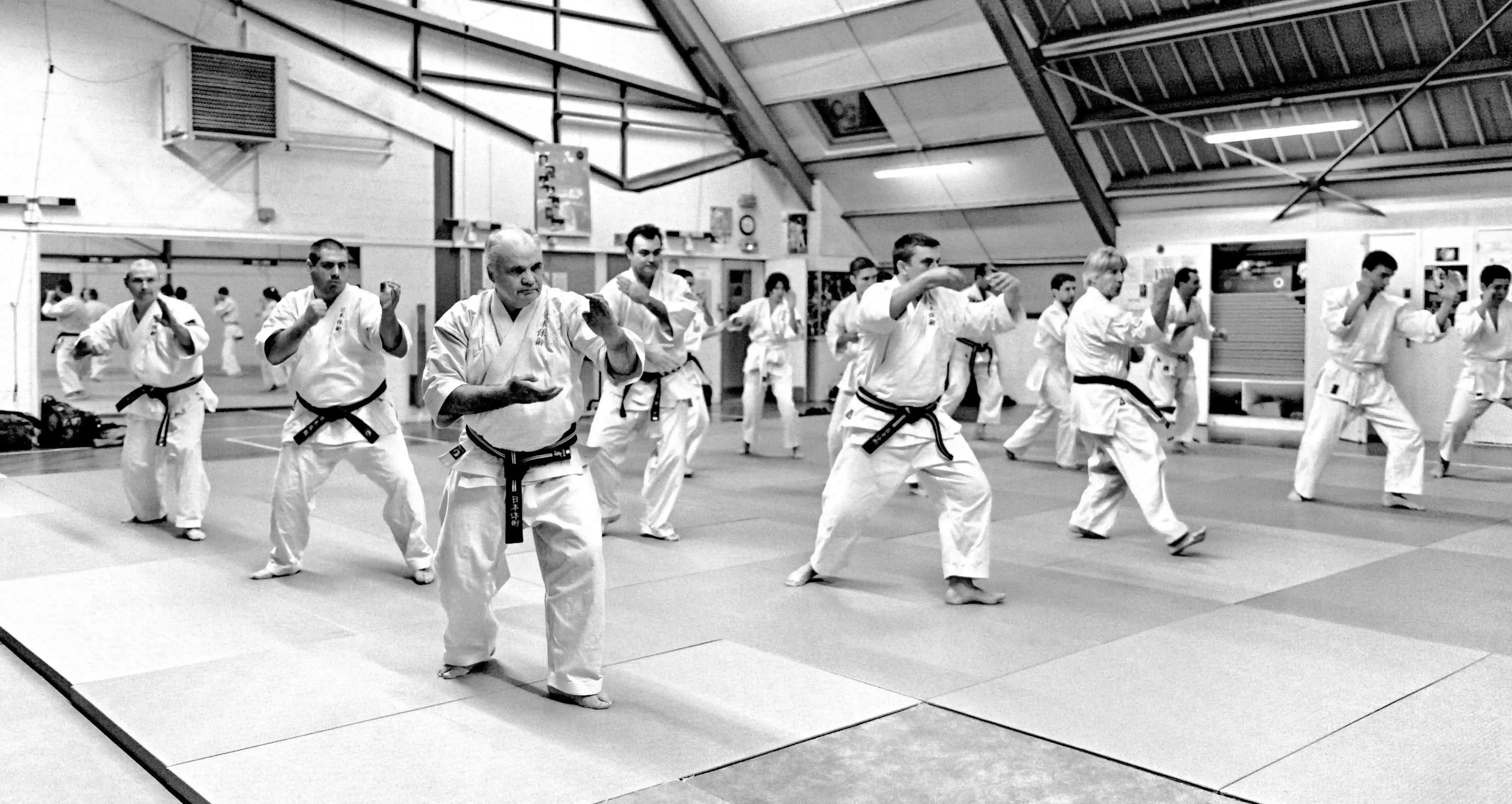 ASCB Self Défense - Nihon Tai Jitsu