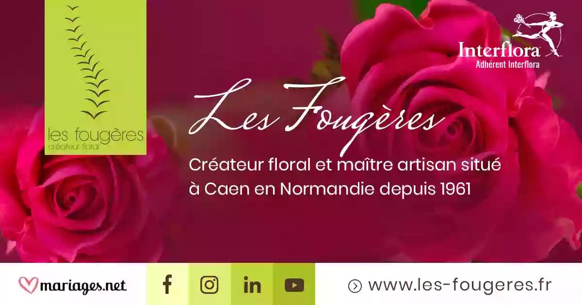 Les Fougères