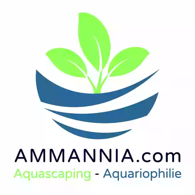 Ammannia site en ligne