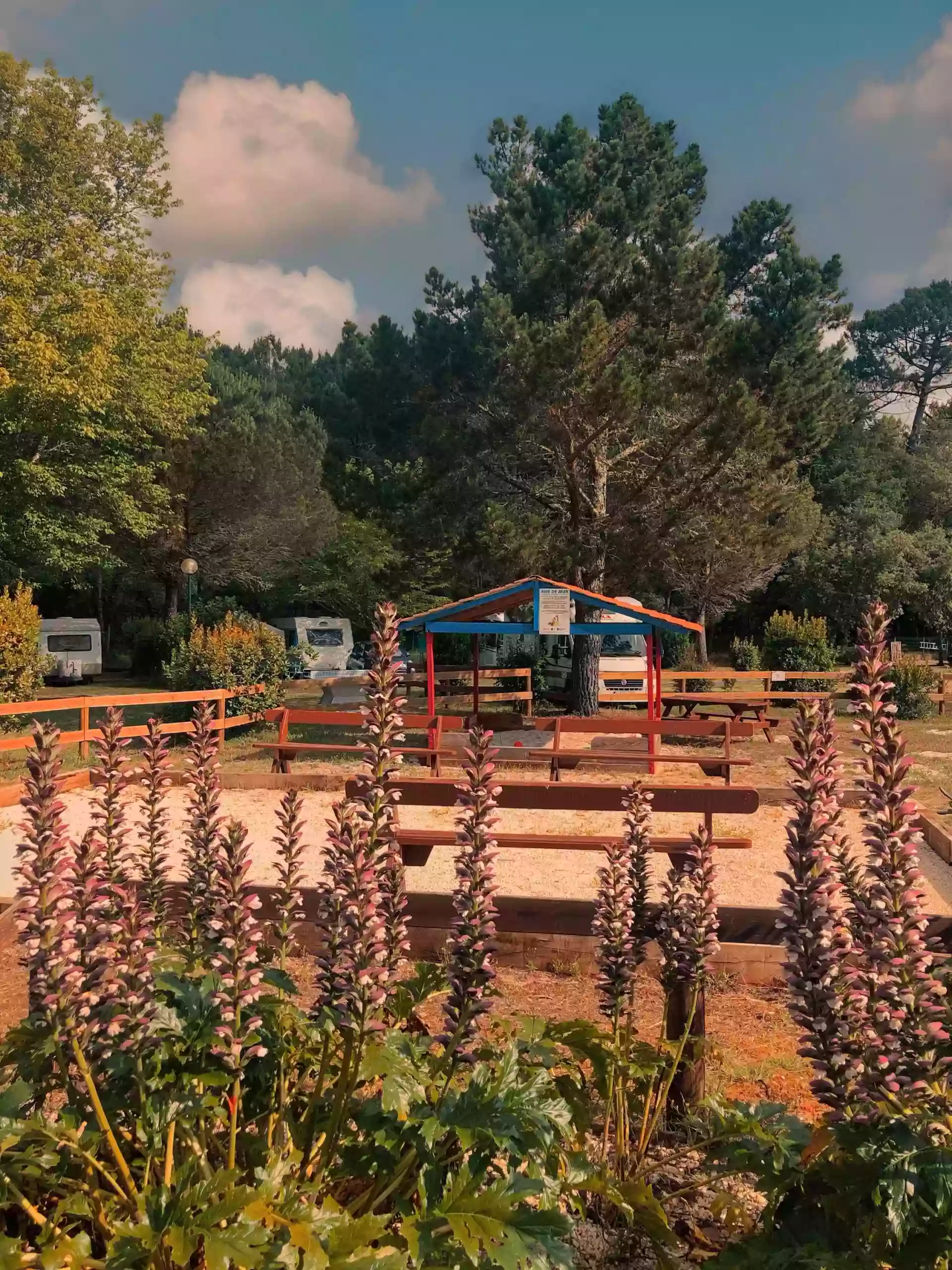 Camping du Lac de Cazaux