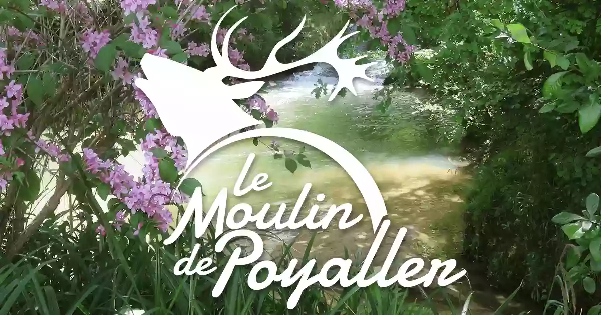 LE MOULIN DE POYALLER - 40250